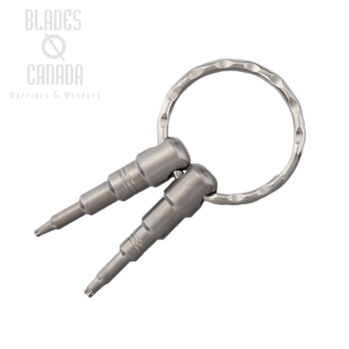 Lion Steel Keyring Torx Bits [#6, #8], KKR 68